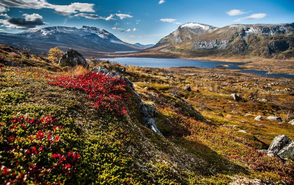 Saga Trollheimen Hotel Rindal Eksteriør bilde