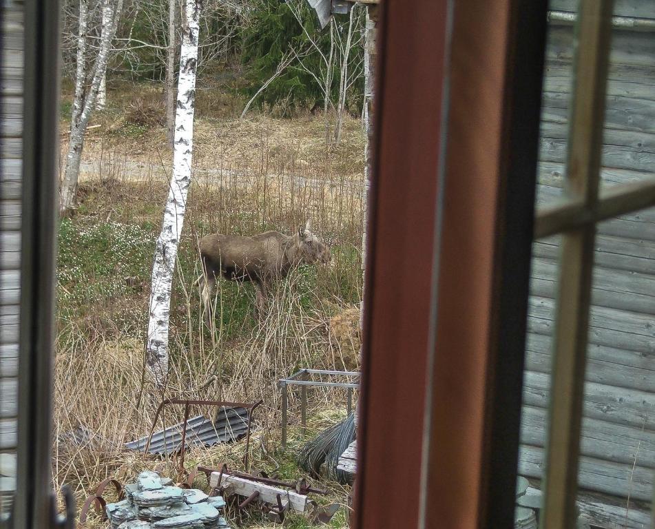 Saga Trollheimen Hotel Rindal Eksteriør bilde