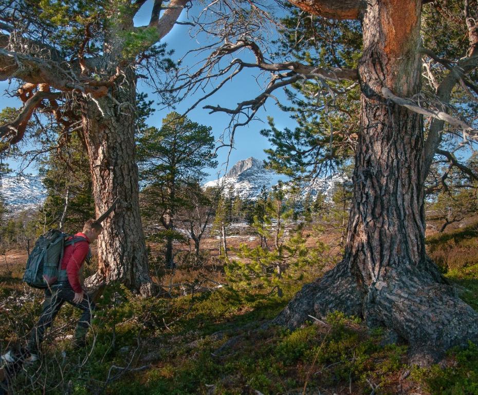 Saga Trollheimen Hotel Rindal Eksteriør bilde