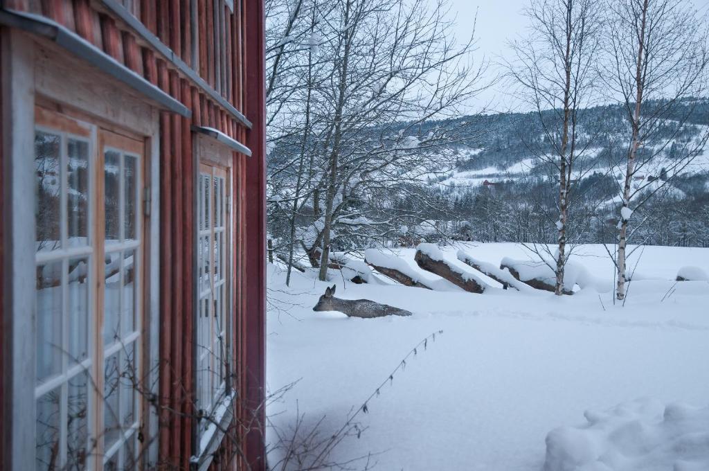 Saga Trollheimen Hotel Rindal Eksteriør bilde