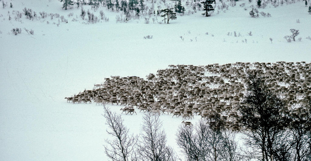 Saga Trollheimen Hotel Rindal Eksteriør bilde